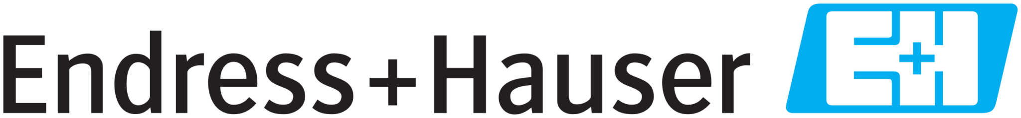 2560px-Endress+Hauser_logo.svg